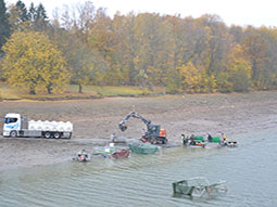 Vorbereitungen zum Abfischen des Sees mittels LKW und Bagger