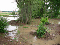 Erstes kleineres Hochwasser nach dem Gewässerausbau