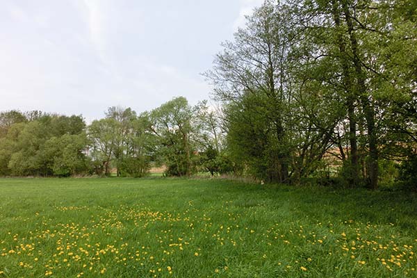 Nassach Römershofen - Baubereich vor Maßnahmenbeginn