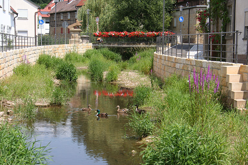Revitalisierung der Altach in Zeil am Main